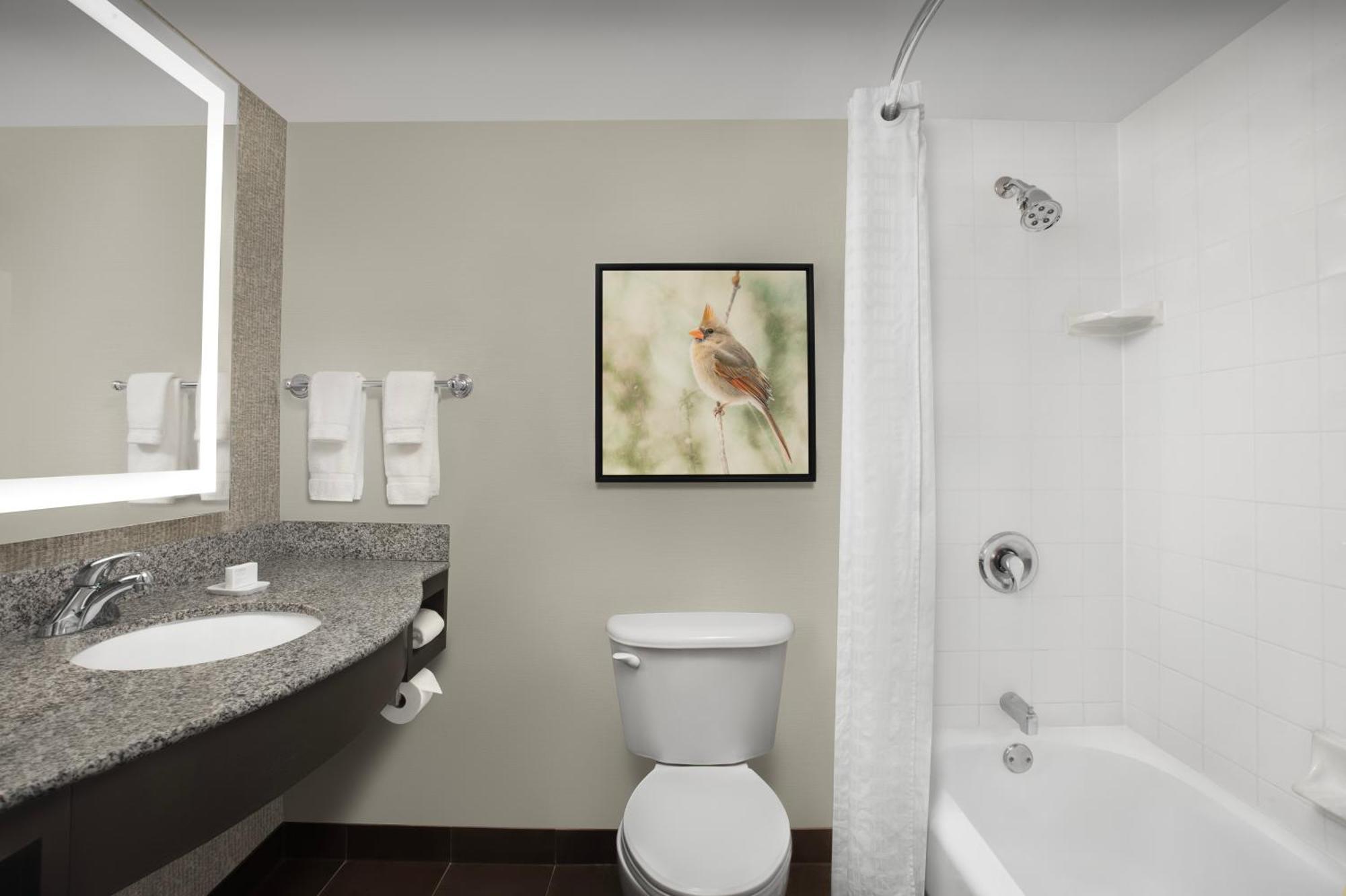 Hilton Garden Inn Hoffman Estates Exteriör bild